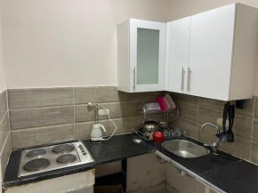 One bedroom apt in the middle of the city